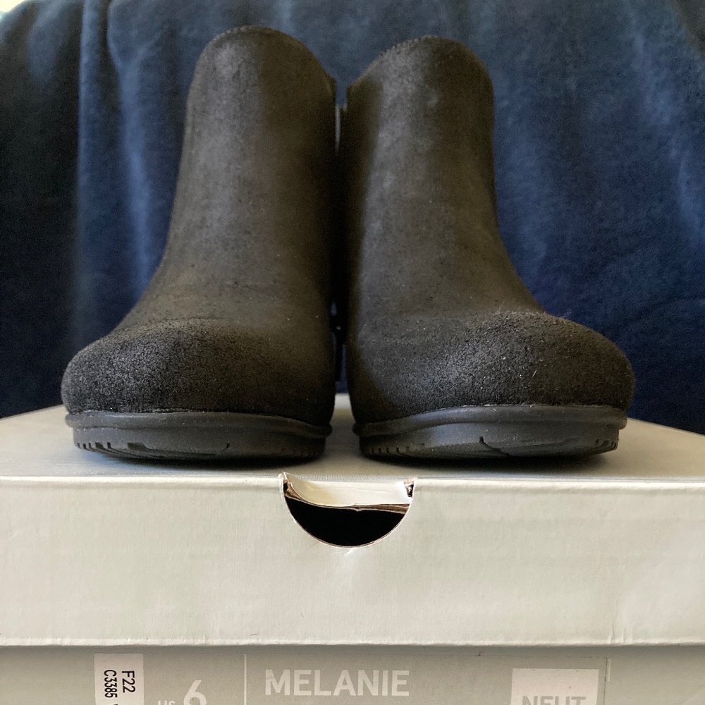 Aveo Ankle boots